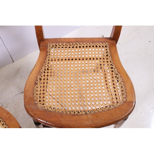 670 - Pair of early 20th century cane seat chairs with carved detail to back rest, H 83cm