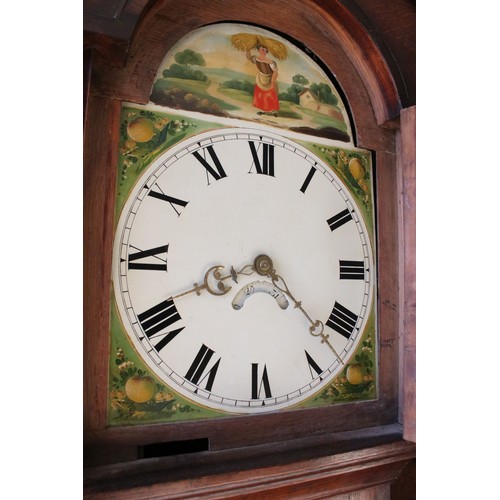 720 - 19th century oak longcase timepiece (clock), with swan neck pediment above painted dial with Roman n... 