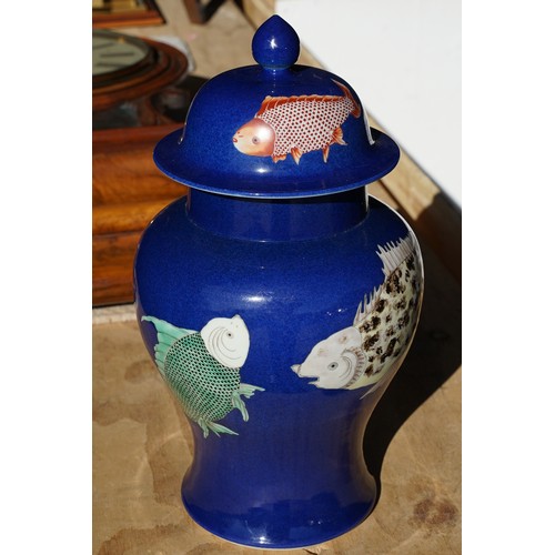 34 - Kangxi period powder blue lidded vase with carp fish pattern, baluster form with flared foot and str... 