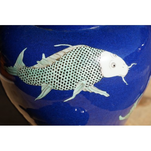 34 - Kangxi period powder blue lidded vase with carp fish pattern, baluster form with flared foot and str... 