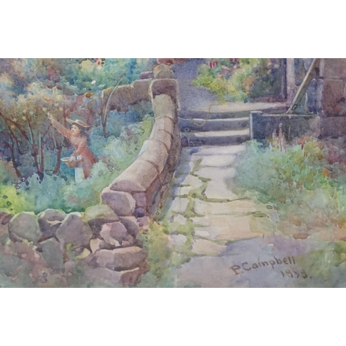526 - P Campbell, rural cottage scene with lady picking apples, watercolour, signed lower right and dated ... 