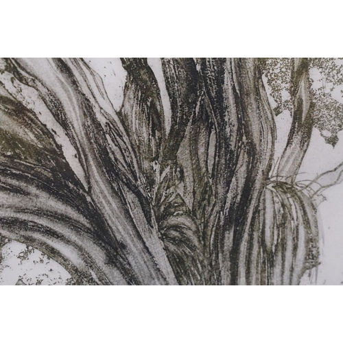 564 - Brenda Hartill (British, 20th century), 'Theo's Shed', limited edition edition, signed in pencil low... 