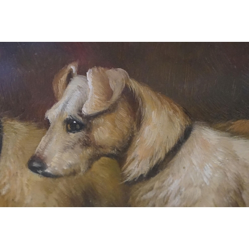571 - Study of two terrier dogs, oil, 19 x 24cm, oak framed and glazed