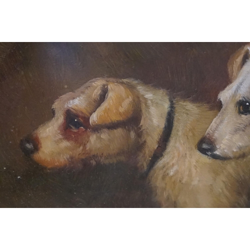 571 - Study of two terrier dogs, oil, 19 x 24cm, oak framed and glazed