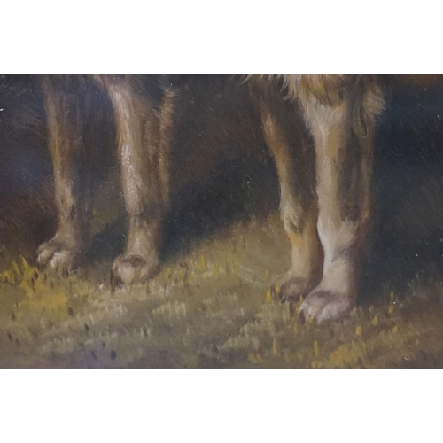571 - Study of two terrier dogs, oil, 19 x 24cm, oak framed and glazed