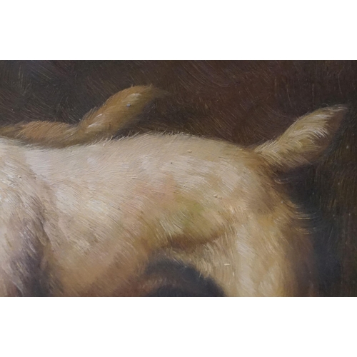 571 - Study of two terrier dogs, oil, 19 x 24cm, oak framed and glazed