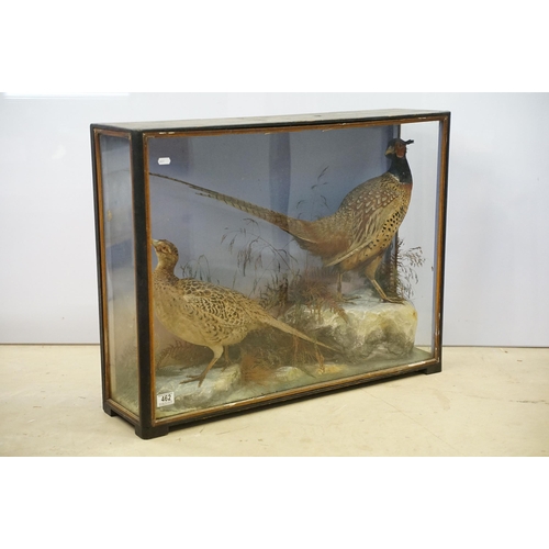 462 - Taxidermy - two pheasants within natural landscape mounted on rock  contained within large glass dis... 