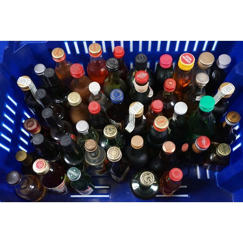 504 - Alcohol - Collection of around 200 alcohol miniatures to include Glenfiddich Pure Malt Scotch Whisky... 