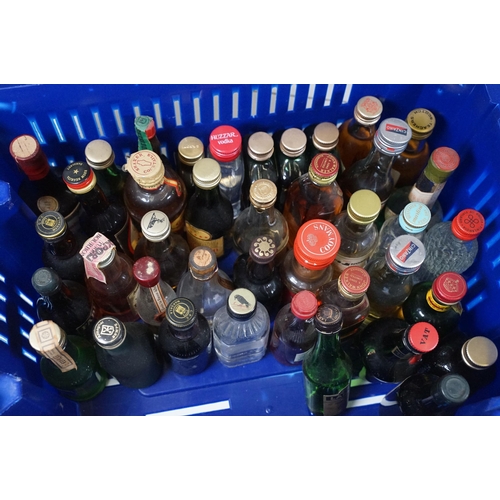 504 - Alcohol - Collection of around 200 alcohol miniatures to include Glenfiddich Pure Malt Scotch Whisky... 