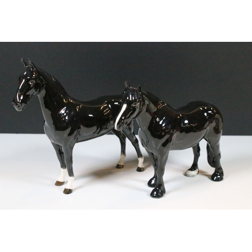 37 - Beswick Hackney horse and Dales pony 'Maisie' figurine in black gloss finish (2)