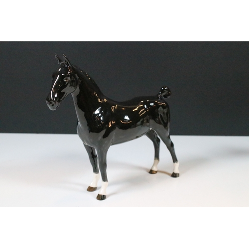 37 - Beswick Hackney horse and Dales pony 'Maisie' figurine in black gloss finish (2)