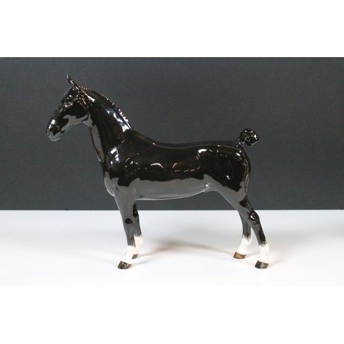 37 - Beswick Hackney horse and Dales pony 'Maisie' figurine in black gloss finish (2)