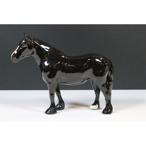 37 - Beswick Hackney horse and Dales pony 'Maisie' figurine in black gloss finish (2)