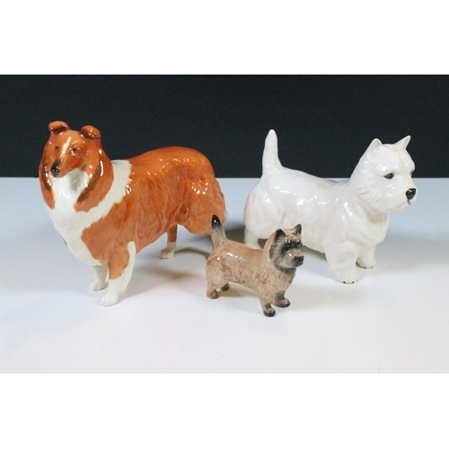 42 - Beswick 'Lochinvar of Lady Park' porcelain collie dog figurine together with Cairn Terrier and West ... 