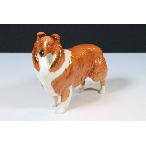 42 - Beswick 'Lochinvar of Lady Park' porcelain collie dog figurine together with Cairn Terrier and West ... 