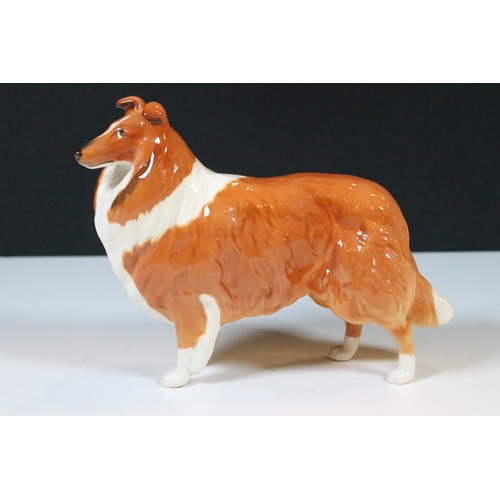 42 - Beswick 'Lochinvar of Lady Park' porcelain collie dog figurine together with Cairn Terrier and West ... 