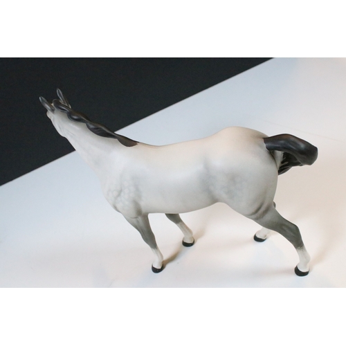 54 - Group of four Beswick horse figurines to include Dartmoor, Warlord and a white pony example in a hig... 