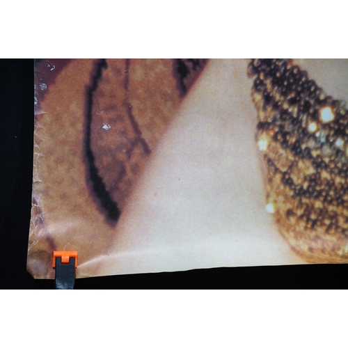 5 - Memorabilia -  The Cramps original UK 1990 promo billboard European Tour Poster with Bikini Girls Wi... 