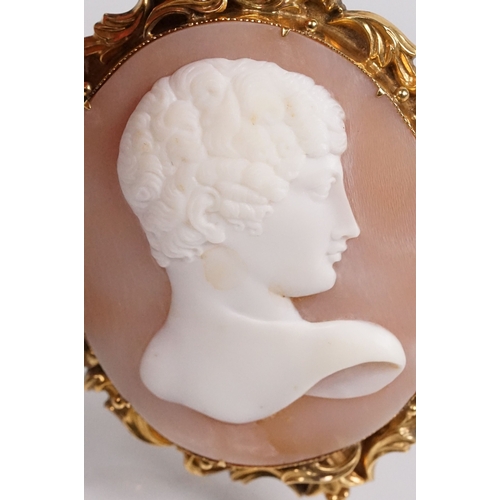 158 - 19th Century Victorian carved conch shell cameo featuring a male right facing portrait set within a ... 