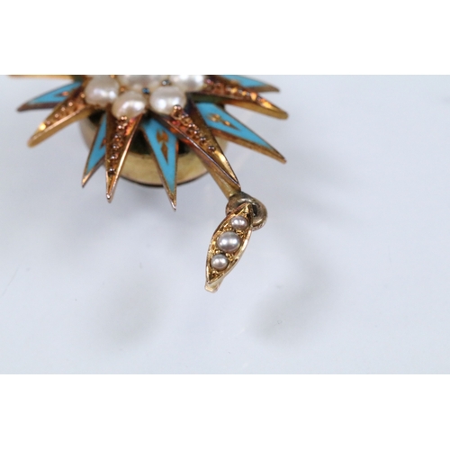 176 - 19th century Victorian half pearl and enamel mourning locket in the form of a star with a cluster of... 