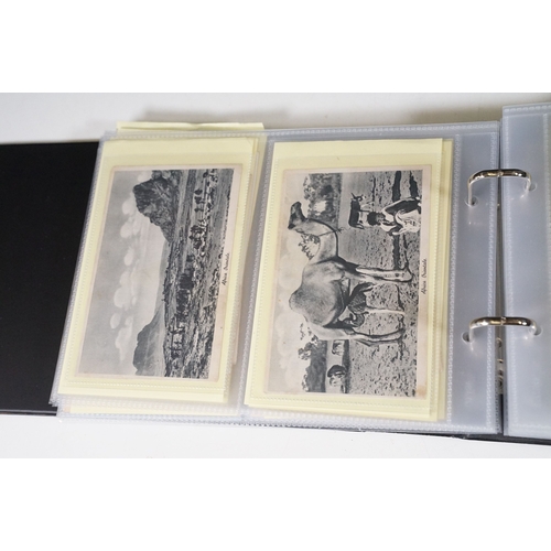 505 - A postcard album containing Ethnic, Native, South Africa, Aden, Africa and Egypt, real photo and pri... 