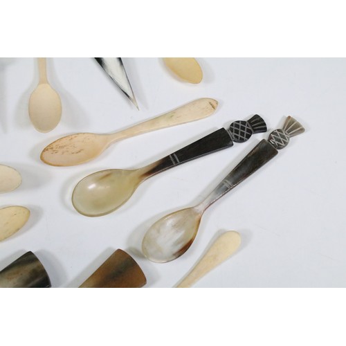 215 - Collection of horn and bone spoons, to include a horn caddy spoon and a horn spoon with thistle term... 