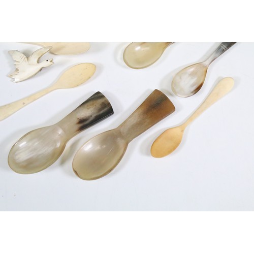 215 - Collection of horn and bone spoons, to include a horn caddy spoon and a horn spoon with thistle term... 