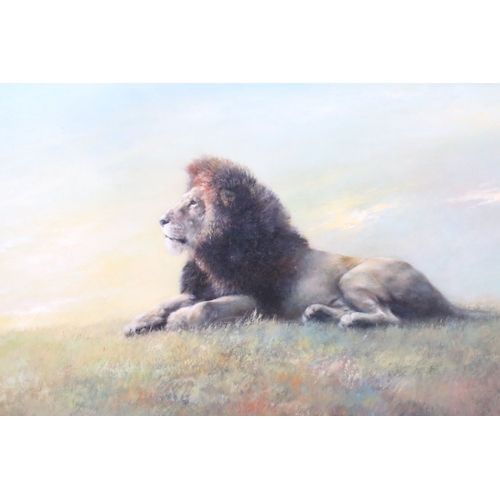 533 - Joel Kirk (b. 1948) recumbent lion in grassy landscape, oil on canvas, signed to lower left, 60cm x ... 