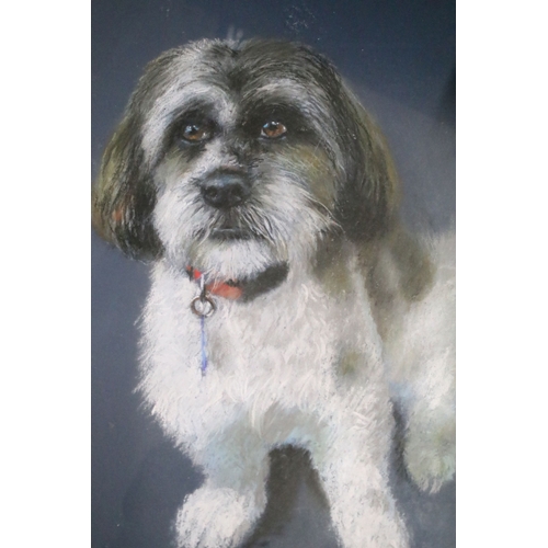 495 - Joel Kirk (b. 1948) a pastel portrait of a terrier, inscribed 'To Bob & Chris, Thanks', signed to lo... 