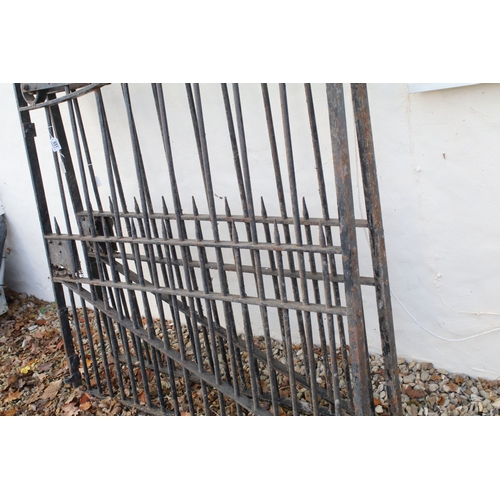540A - Pair of antique wrought iron gates with scrolled ends, W 131cm, H 162cm