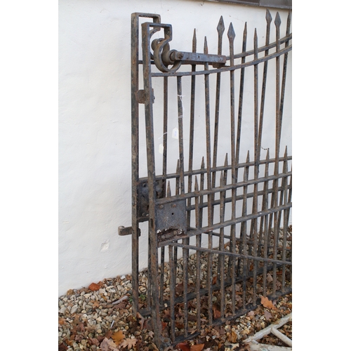 540A - Pair of antique wrought iron gates with scrolled ends, W 131cm, H 162cm