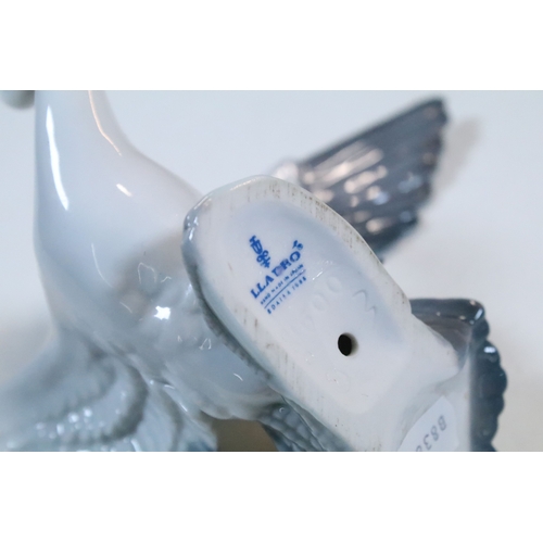 27 - Group of six Lladro and a Nao porcelain figurines to include rabbit, girl and dog, polar bear, cat, ... 