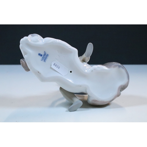 27 - Group of six Lladro and a Nao porcelain figurines to include rabbit, girl and dog, polar bear, cat, ... 