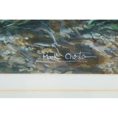 493 - Mark Chester (British, b.1960), study of a fish - possibly a chub, watercolour, signed lower right, ... 