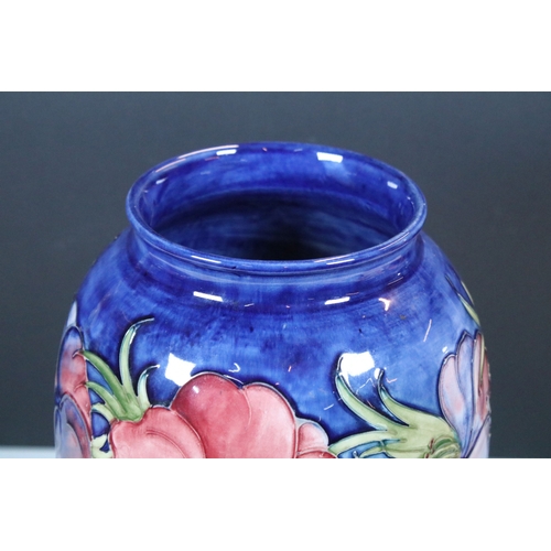1 - Walter Moorcroft 'Anemone' pattern blue ground baluster vase, impressed marks, paper label and signe... 