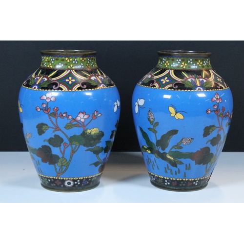 2 - Pair of Japanese cloisonne baluster vases, having blue ground with flora and fauna decoration to the... 