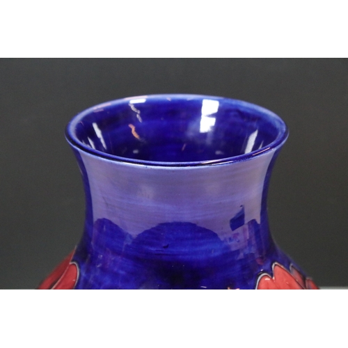 7 - Moorcroft 'Anemone' pattern vase on deep blue ground, impressed and signed to base, H 24cm