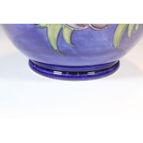 7 - Moorcroft 'Anemone' pattern vase on deep blue ground, impressed and signed to base, H 24cm