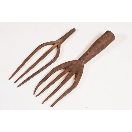 312 - Two early 20th century cast iron  Eel spear / harpoon heads, the largest L 19cm