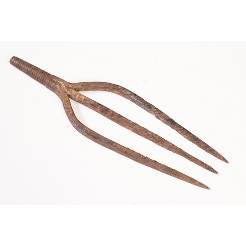 312 - Two early 20th century cast iron  Eel spear / harpoon heads, the largest L 19cm
