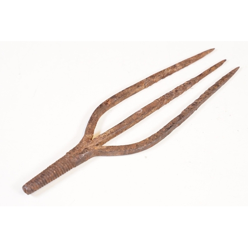 312 - Two early 20th century cast iron  Eel spear / harpoon heads, the largest L 19cm