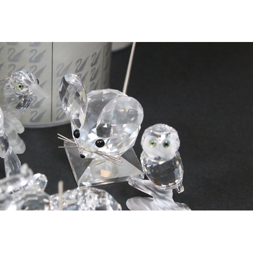 78 - Collection of Swarovski crystal animals, to comprise a duo of Foals, 7612, Turtle, 7661, Elephant, S... 