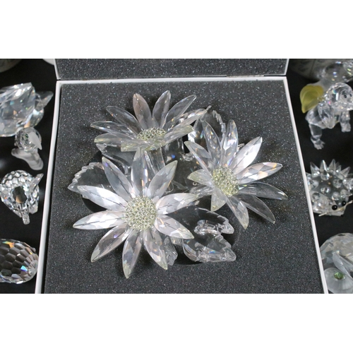78 - Collection of Swarovski crystal animals, to comprise a duo of Foals, 7612, Turtle, 7661, Elephant, S... 