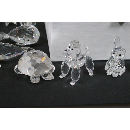 78 - Collection of Swarovski crystal animals, to comprise a duo of Foals, 7612, Turtle, 7661, Elephant, S... 