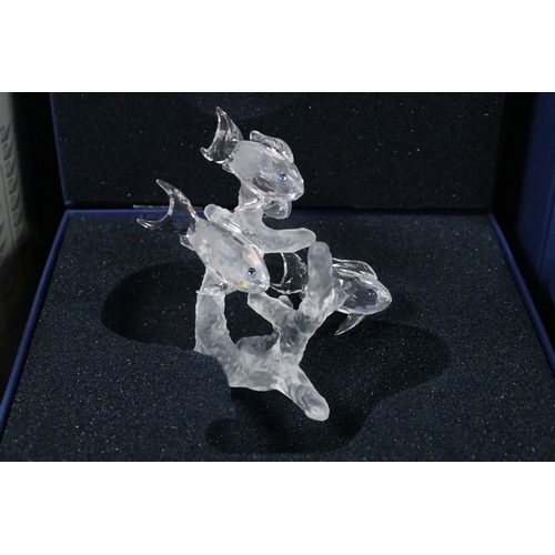 93 - Eleven boxed Swarovski crystal glass ornaments, to include ornaments from the 'Endangered Wildlife' ... 