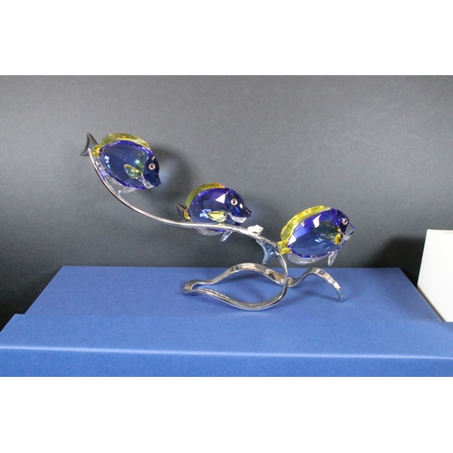 94 - Boxed Swarovski 'Crystal Paradise Fish - Surgeonfish' 1034023 and boxed 'Columbine' 242032 from the ... 