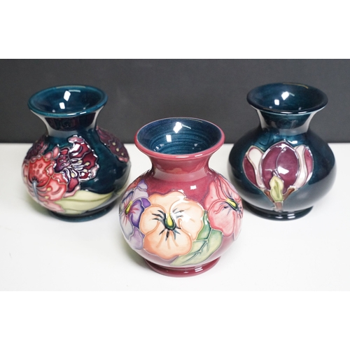 Lot 21        