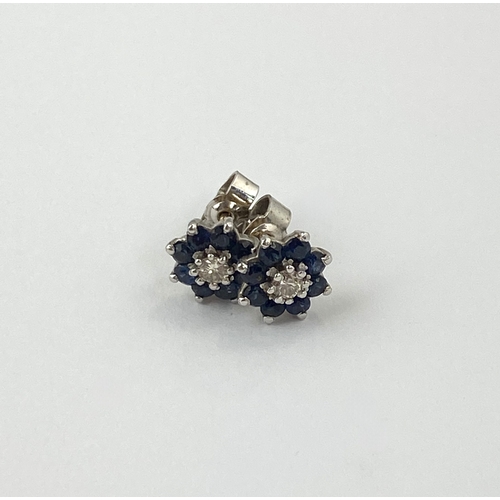 294 - A pair of sapphire and diamond nine stone cluster ear studs, each claw set with a circular cut diamo... 