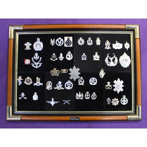 187 - 'The Military Badge Collection', contained within two purpose made military campaign style frames, e... 