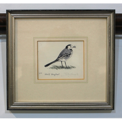 328 - Sir Peter Scott (British, 1909 - 1989), 'White Wagtail', a signed limited edition print, number 4/25... 